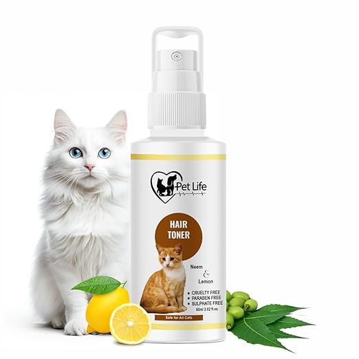 qpets® elevated cat bowl, cat feeding bowl with anti tip design (copy) qpets® elevated cat bowl, cat feeding bowl with anti tip design (copy)